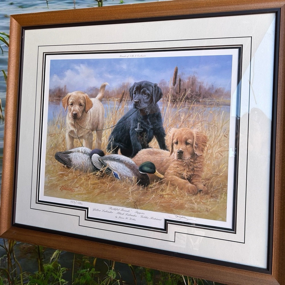 Jim Killen Faithful Friends Puppies Signed 503/1000 Friends NRA Framed Print - Picture 2 of 6